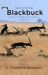 Sprint of the Blackbuck cover