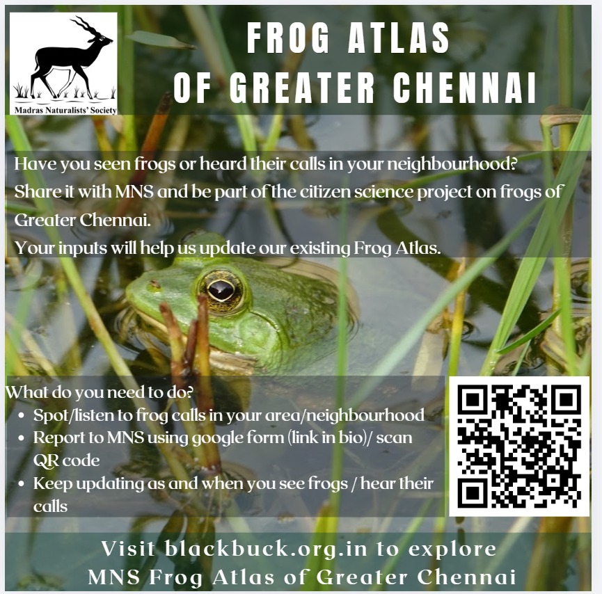 Frog Atlas of Greater Chennai