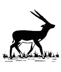 Blackbuck Logo